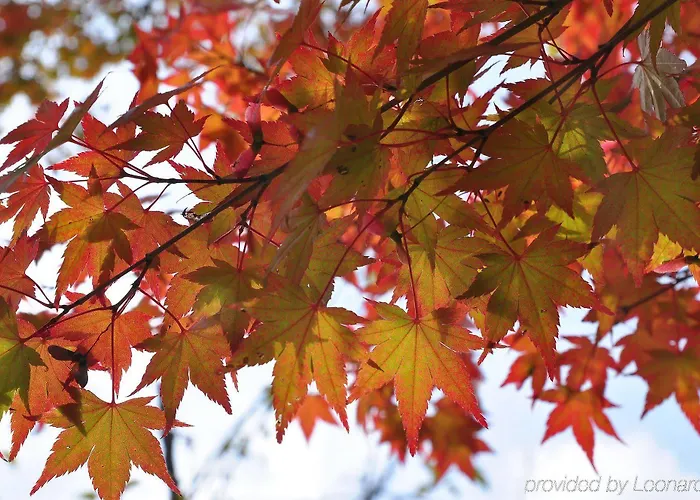 Airporthotel Berlin-adlershof 3* Berlin