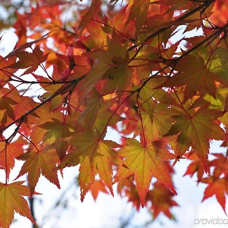 Airporthotel Berlin-adlershof 3* Berlin